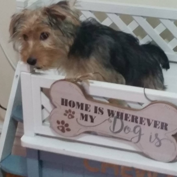 Welcome to my closet! :D - Picture 7 of 8